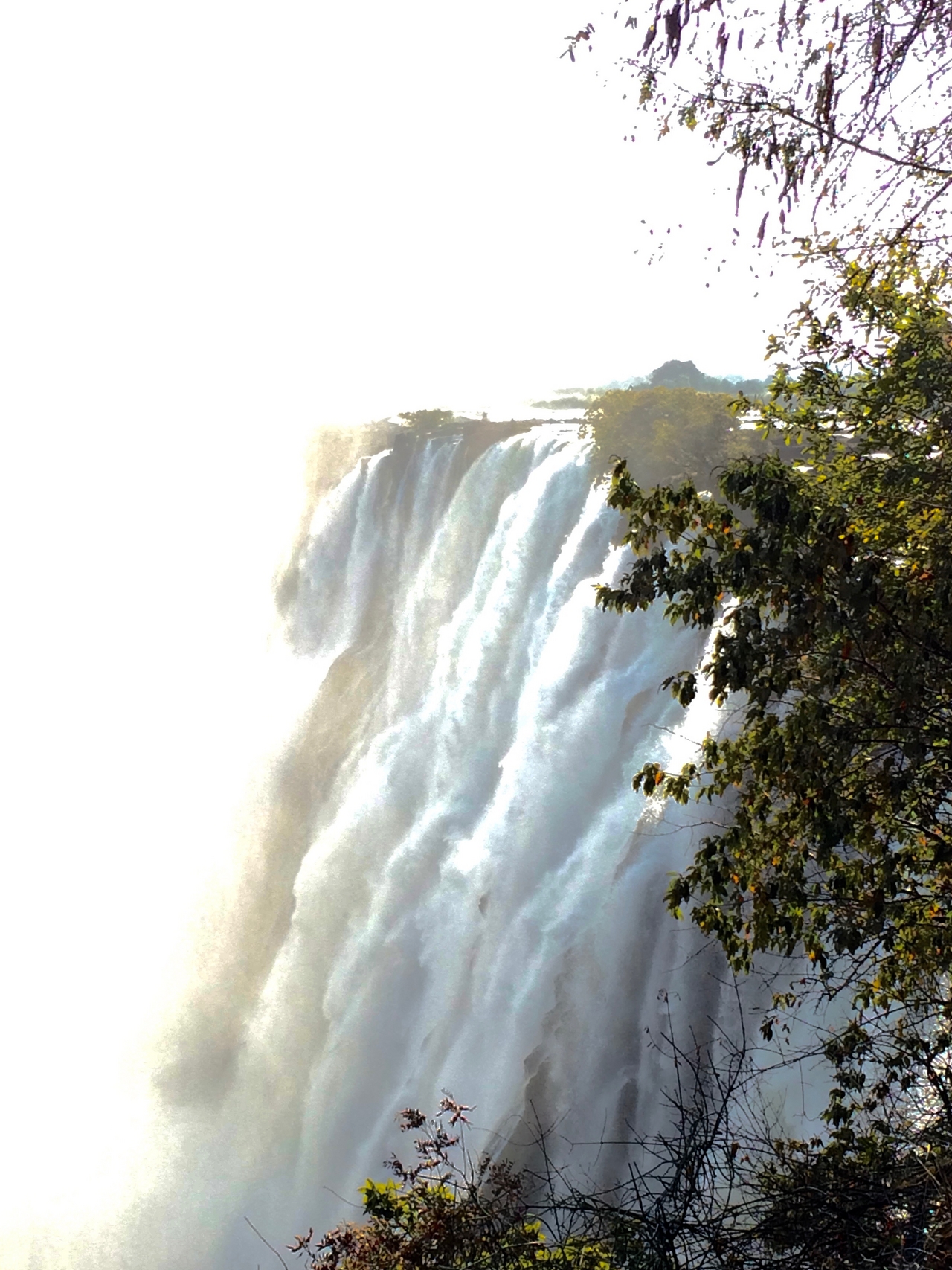 [31923] 2016_07_03_09_54_24_Africa_iPhone_5s_IMG__06476.jpg