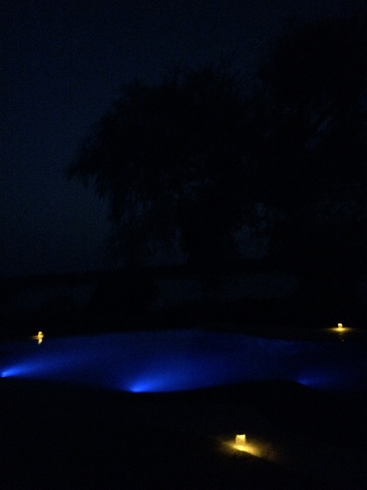 [32317] 2016_07_03_12_33_02_Africa_iPhone_5s_IMG__06492.jpg