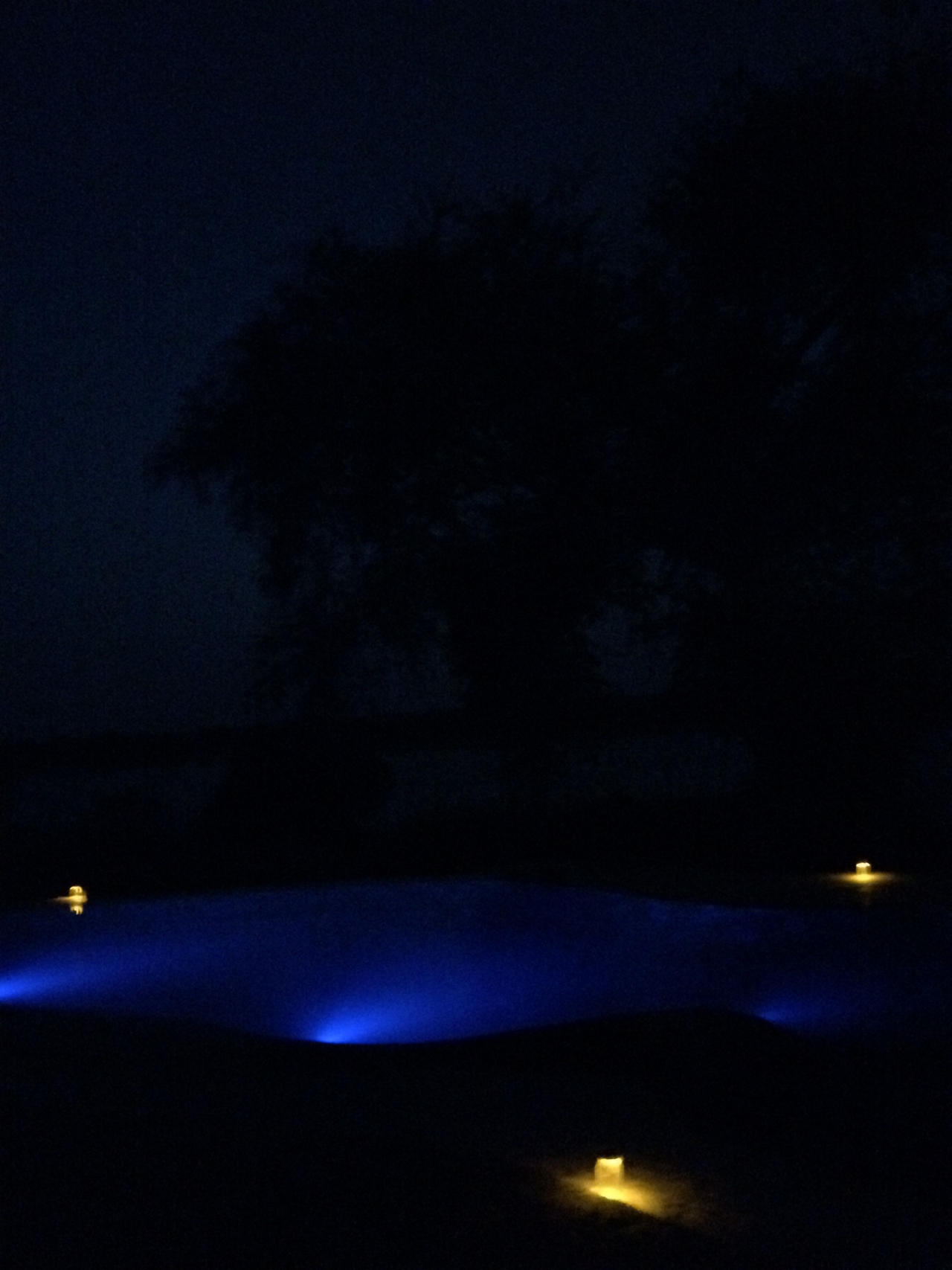 [32318] 2016_07_03_12_33_14_Africa_iPhone_5s_IMG__00879.jpg