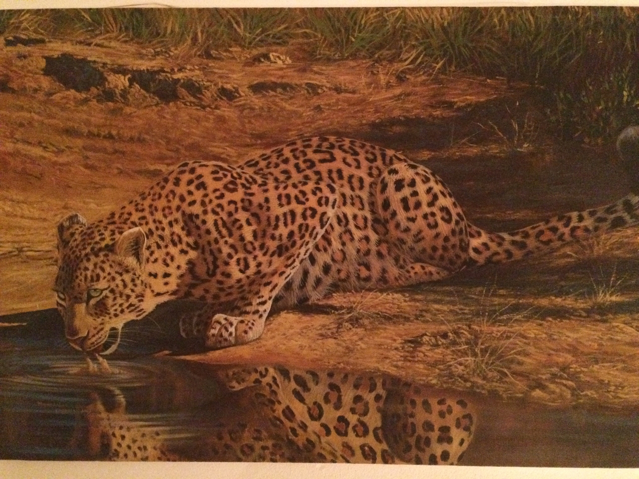 [32550] 2016_07_03_14_50_47_Africa_iPhone_5s_IMG__06496.jpg