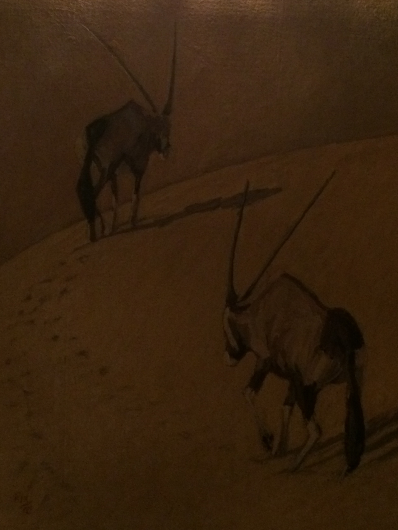 [32554] 2016_07_03_14_51_51_Africa_iPhone_5s_IMG__06498.jpg