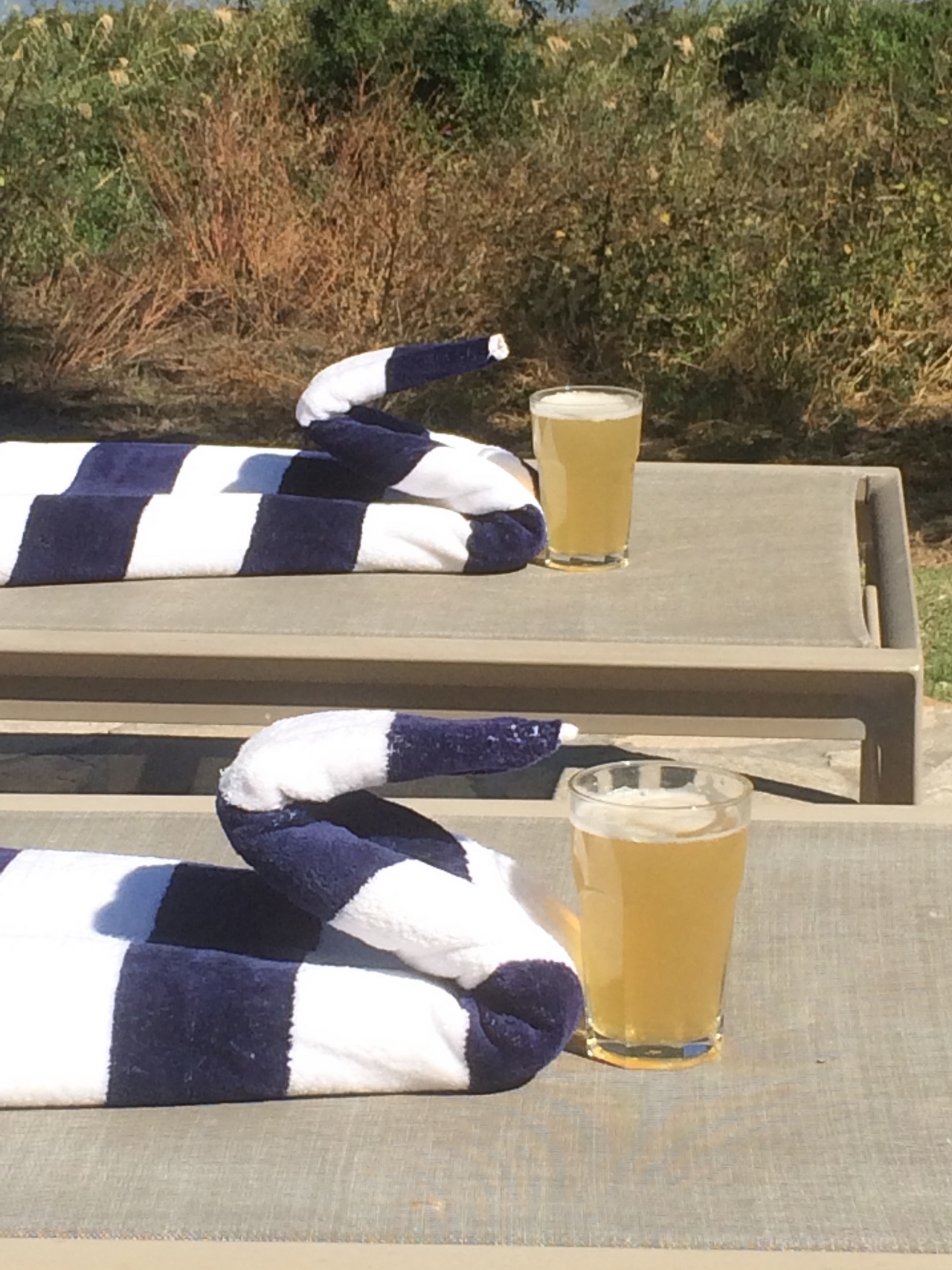 [33076] 2016_07_04_07_46_28_Africa_iPhone_5s_IMG__00907.jpg