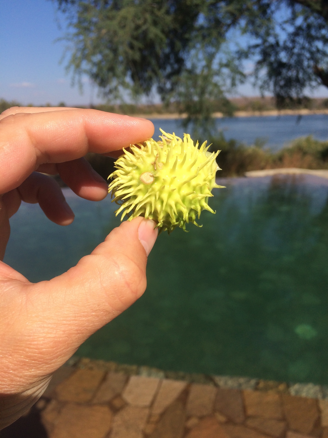 [33130] 2016_07_04_08_21_32_Africa_iPhone_5s_IMG__00913.jpg