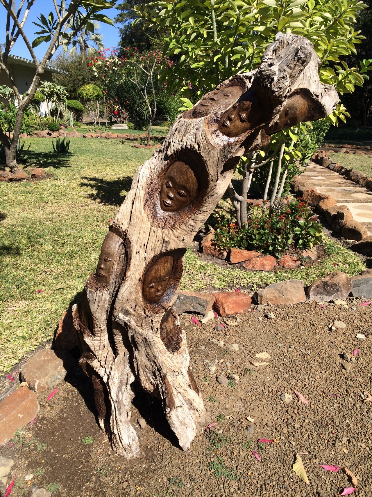 [34456] 2016_07_05_04_22_55_Africa_iPhone_5s_IMG__06561.jpg