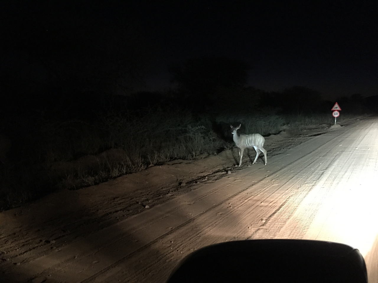 [373] 2016_06_21_18_13_12_Africa_iPhone_6_IMG_7542_00140.jpg