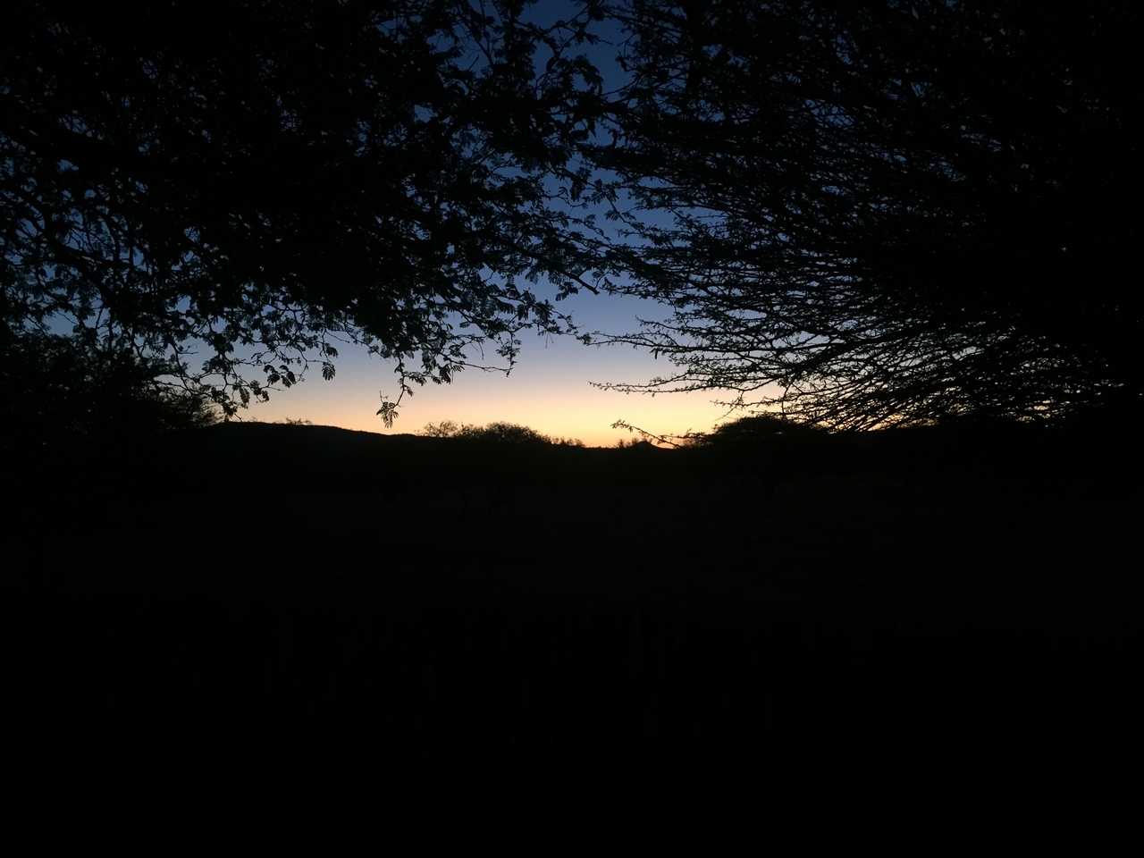 [2202] 2016_06_22_06_03_06_Africa_iPhone_6_IMG_7570_00167.jpg