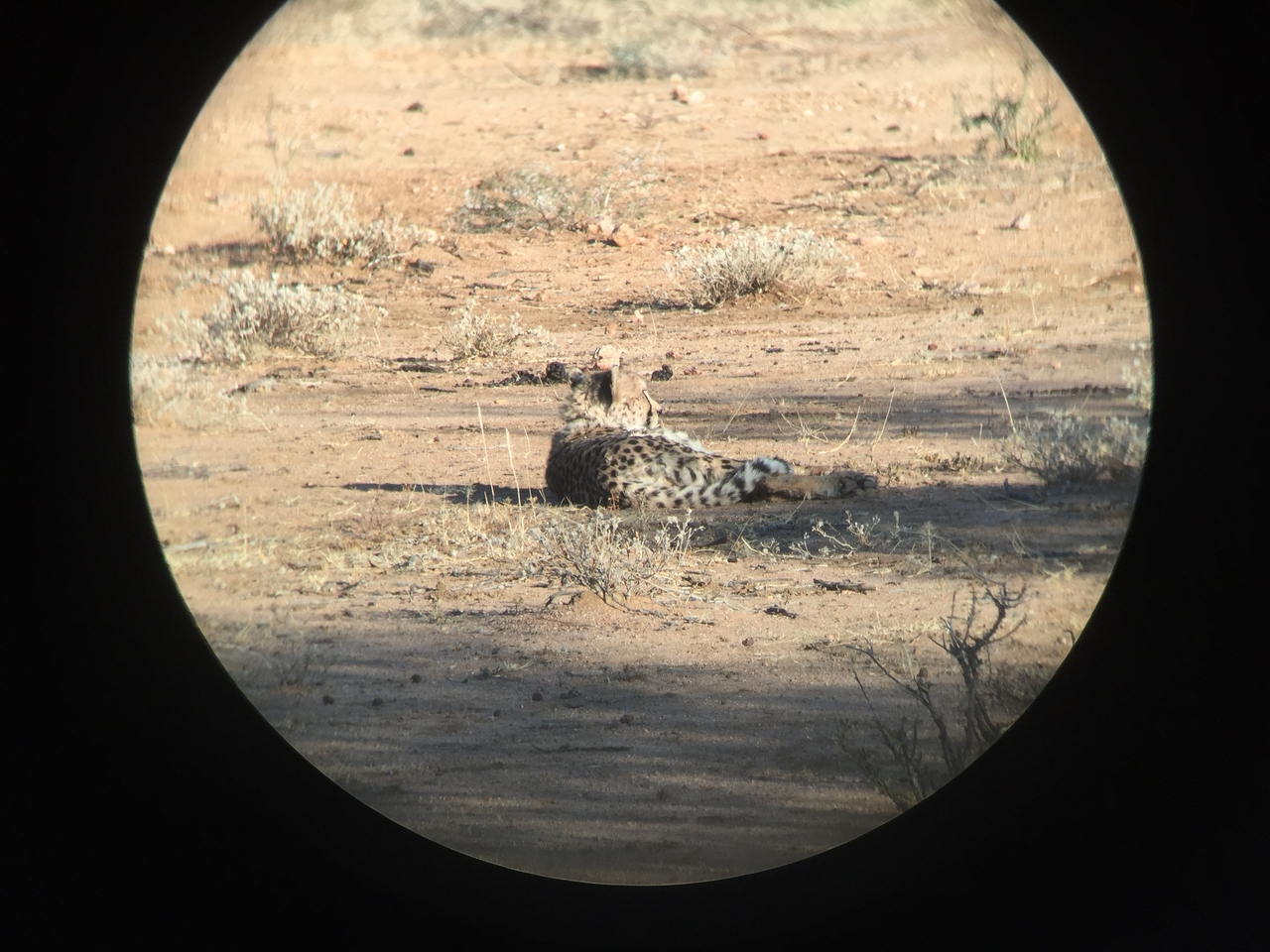 [2334] 2016_06_22_07_45_34_Africa_iPhone_6_IMG_7576_02514.jpg