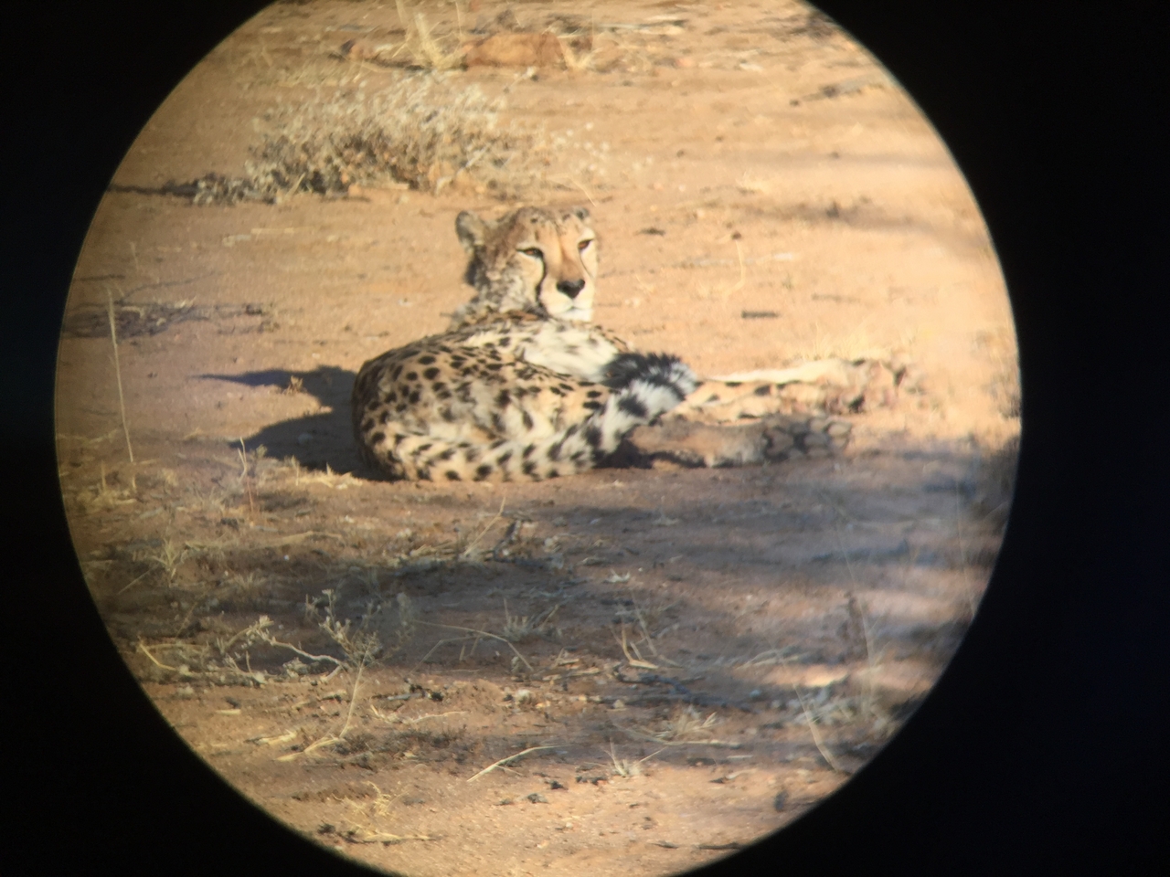 [2342] 2016_06_22_07_46_32_Africa_iPhone_6_IMG_7580_02518.jpg