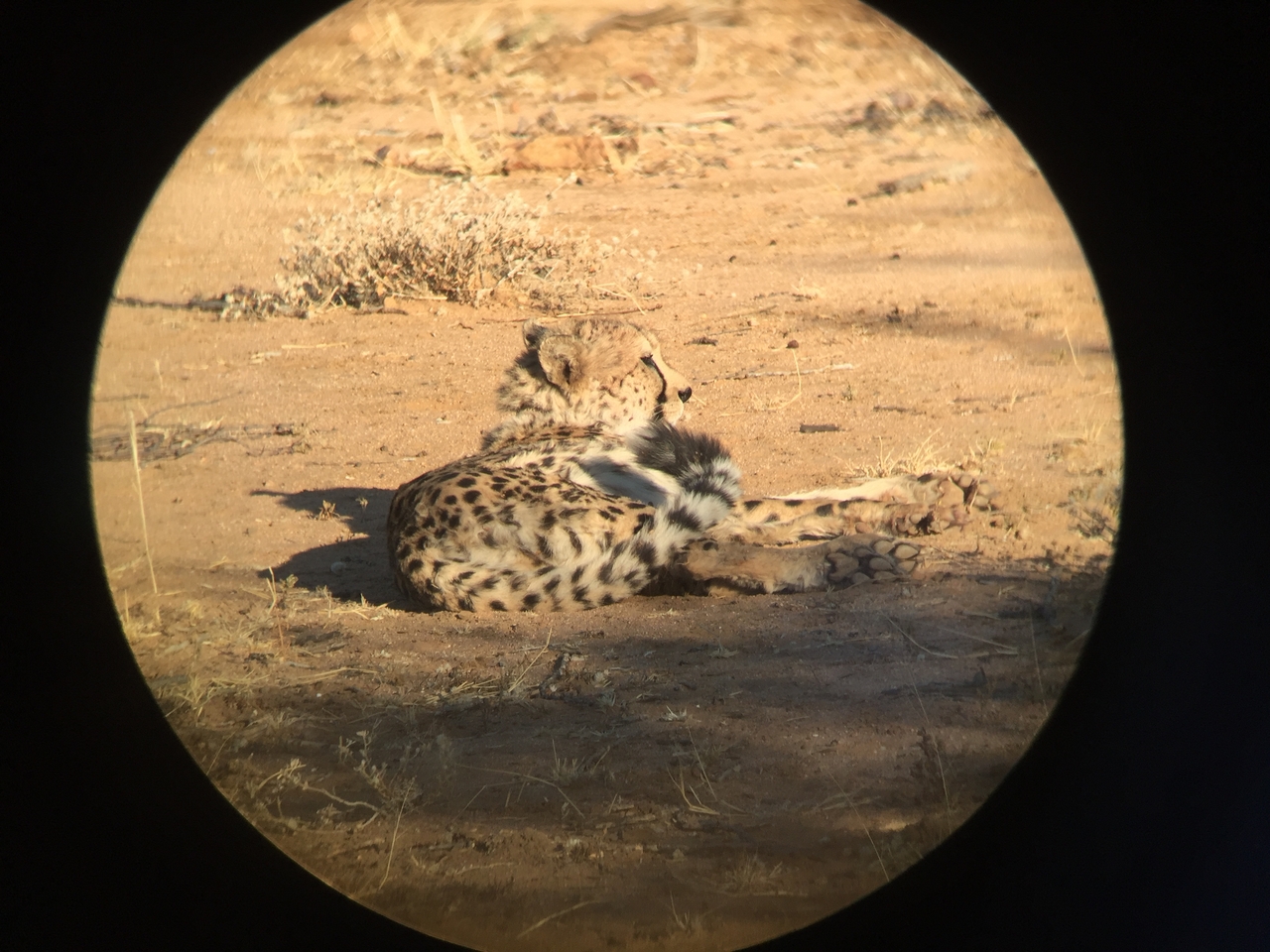 [2346] 2016_06_22_07_46_41_Africa_iPhone_6_IMG_7582_02520.jpg