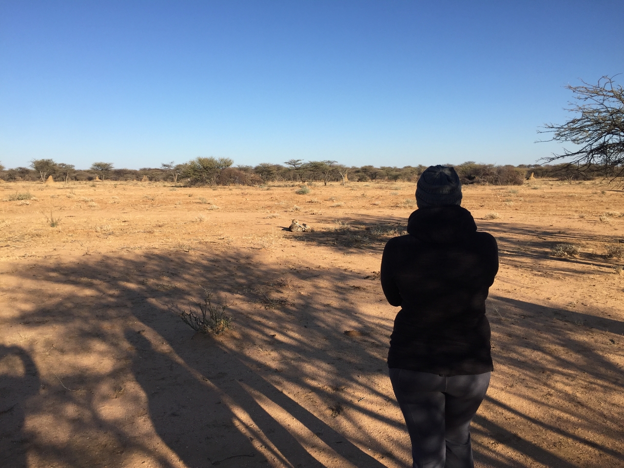 [2349] 2016_06_22_07_47_13_Africa_iPhone_6_IMG_7584_00181.jpg