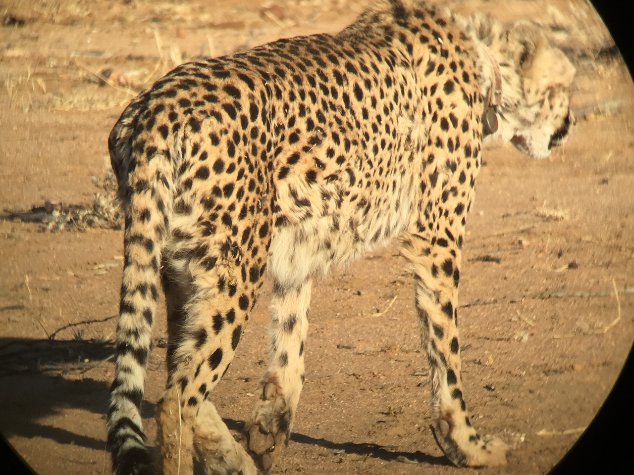 [2382] 2016_06_22_07_52_06_Africa_iPhone_6_IMG_7600_02538.jpg