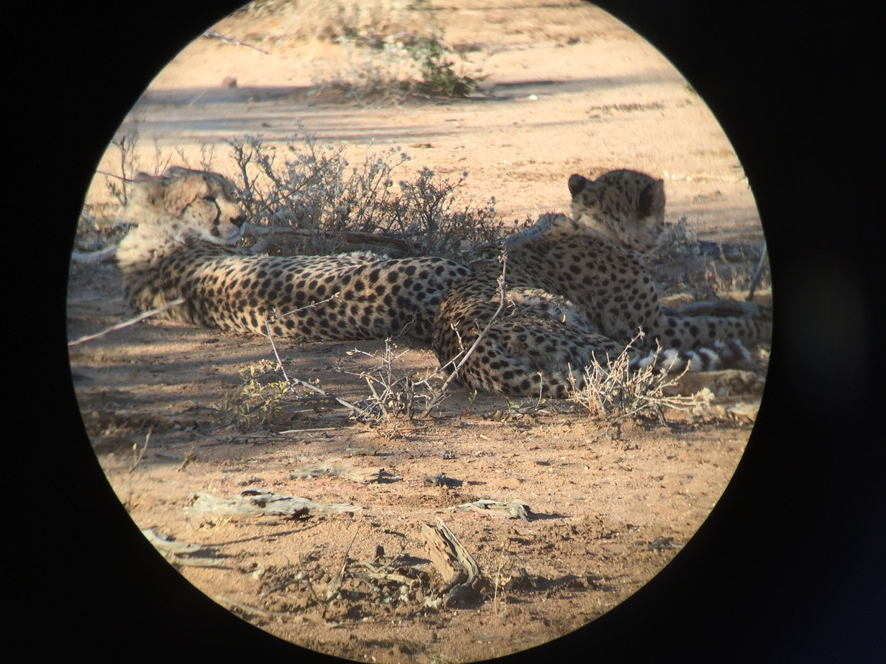 [2399] 2016_06_22_08_00_08_Africa_iPhone_6_IMG_7613_00206.jpg