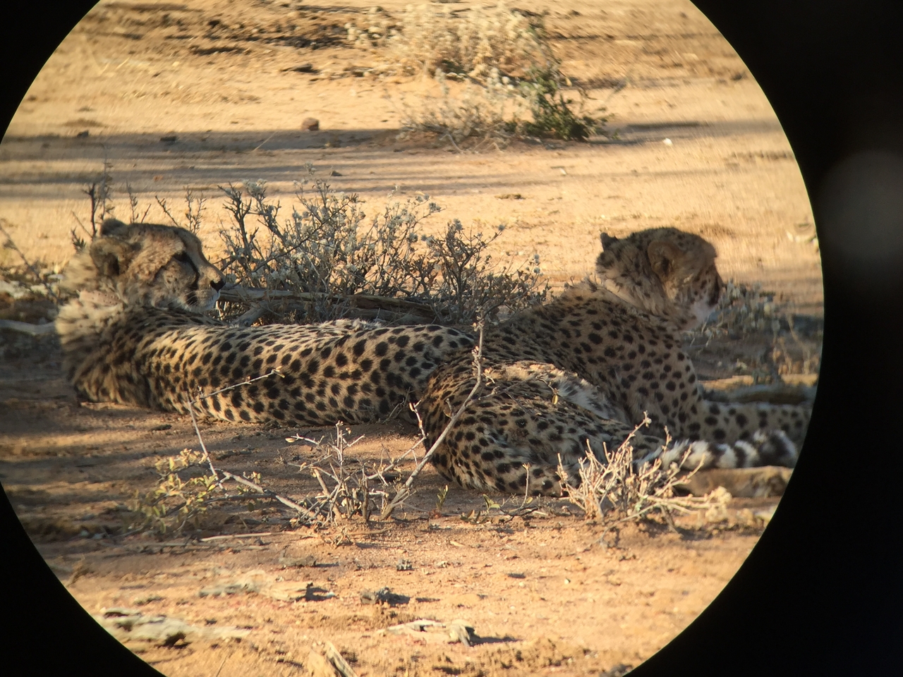 [2402] 2016_06_22_08_00_33_Africa_iPhone_6_IMG_7614_02548.jpg