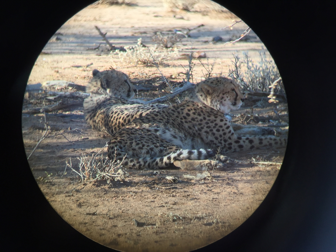 [2411] 2016_06_22_08_02_37_Africa_iPhone_6_IMG_7619_00212.jpg