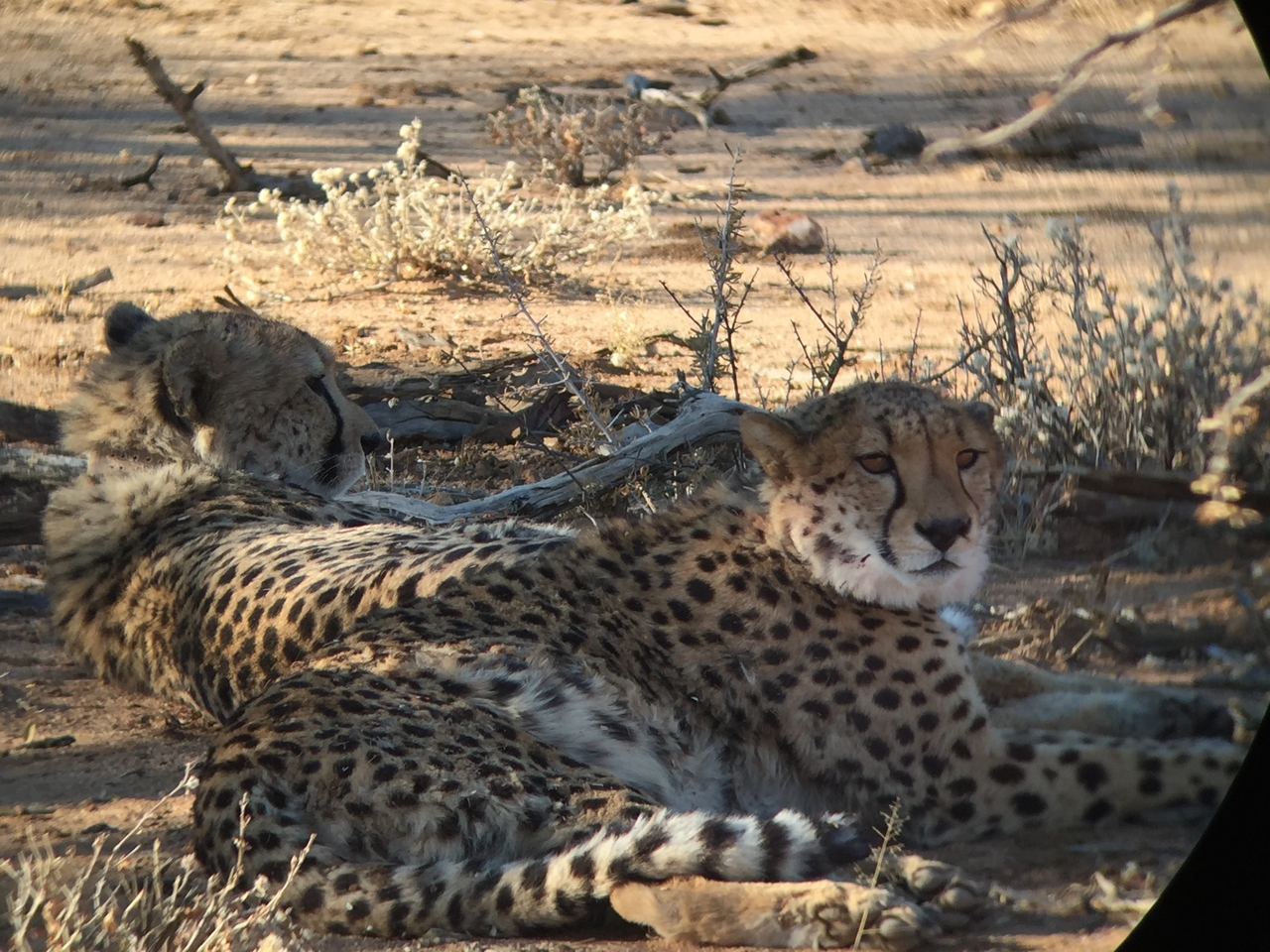 [2414] 2016_06_22_08_02_44_Africa_iPhone_6_IMG_7620_02554.jpg