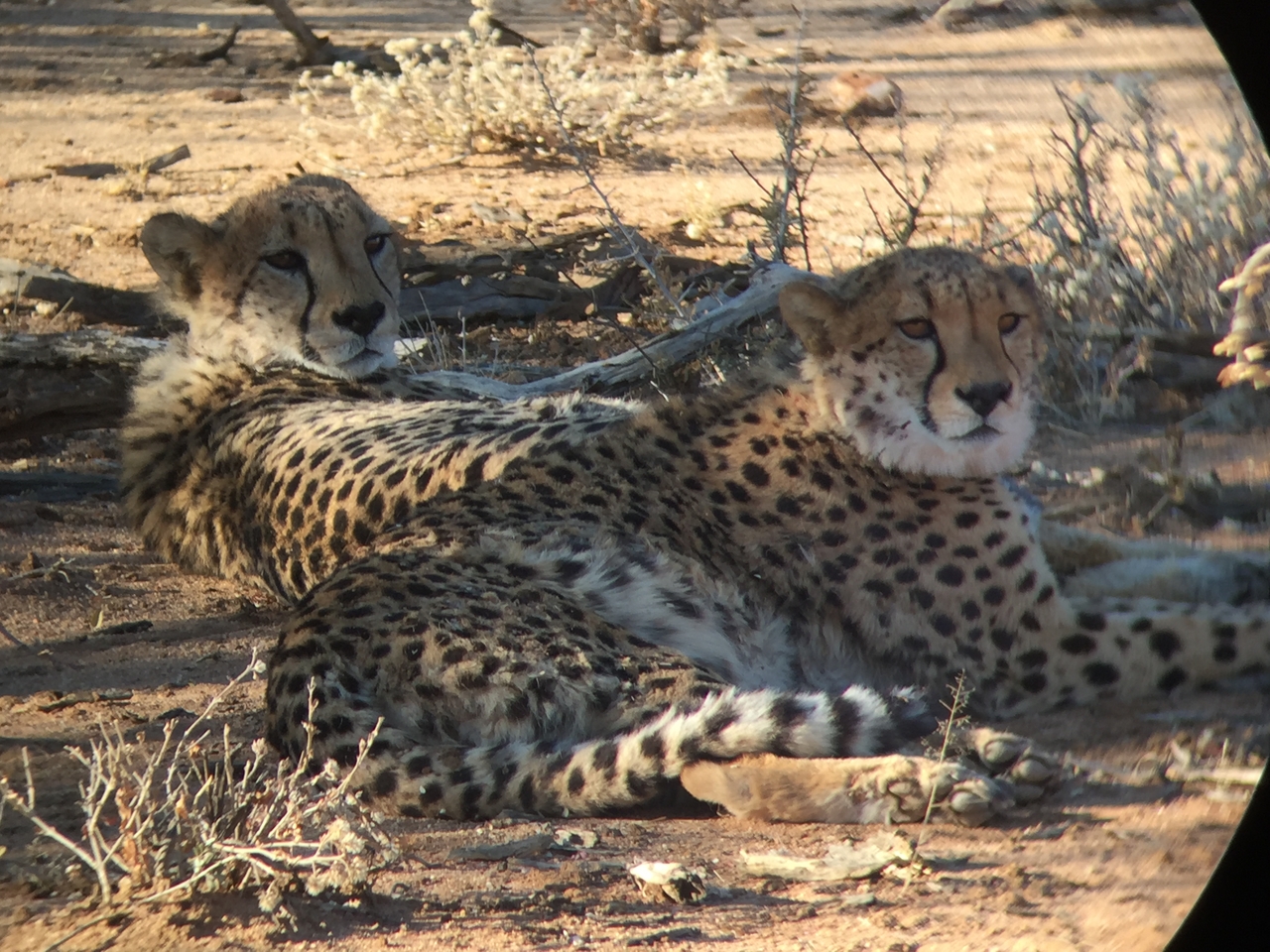 [2418] 2016_06_22_08_03_37_Africa_iPhone_6_IMG_7622_02556.jpg