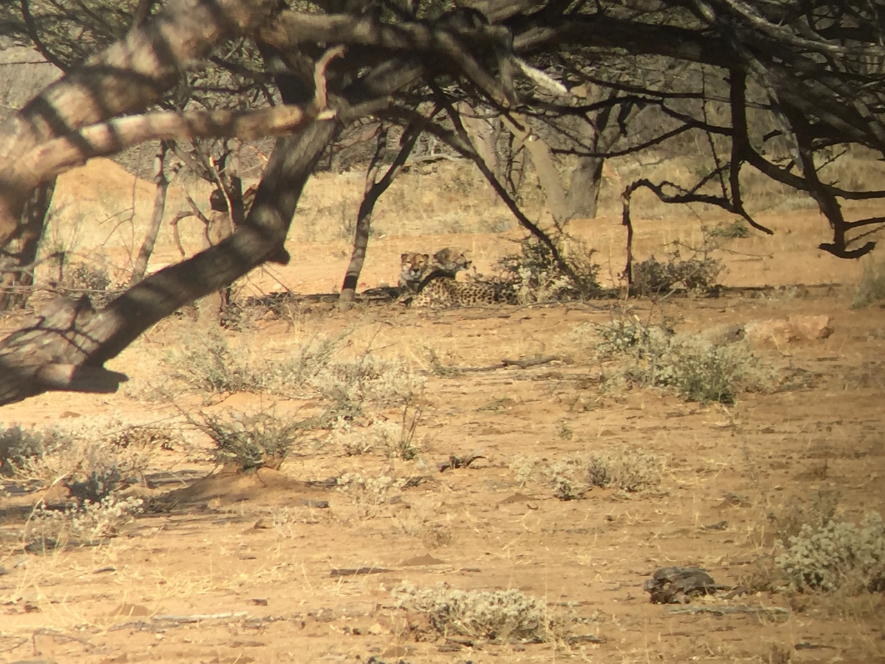 [2466] 2016_06_22_08_23_26_Africa_iPhone_6_IMG_7648_02580.jpg