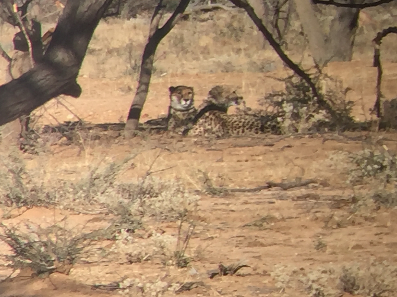 [2467] 2016_06_22_08_23_33_Africa_iPhone_6_IMG_7649_00240.jpg