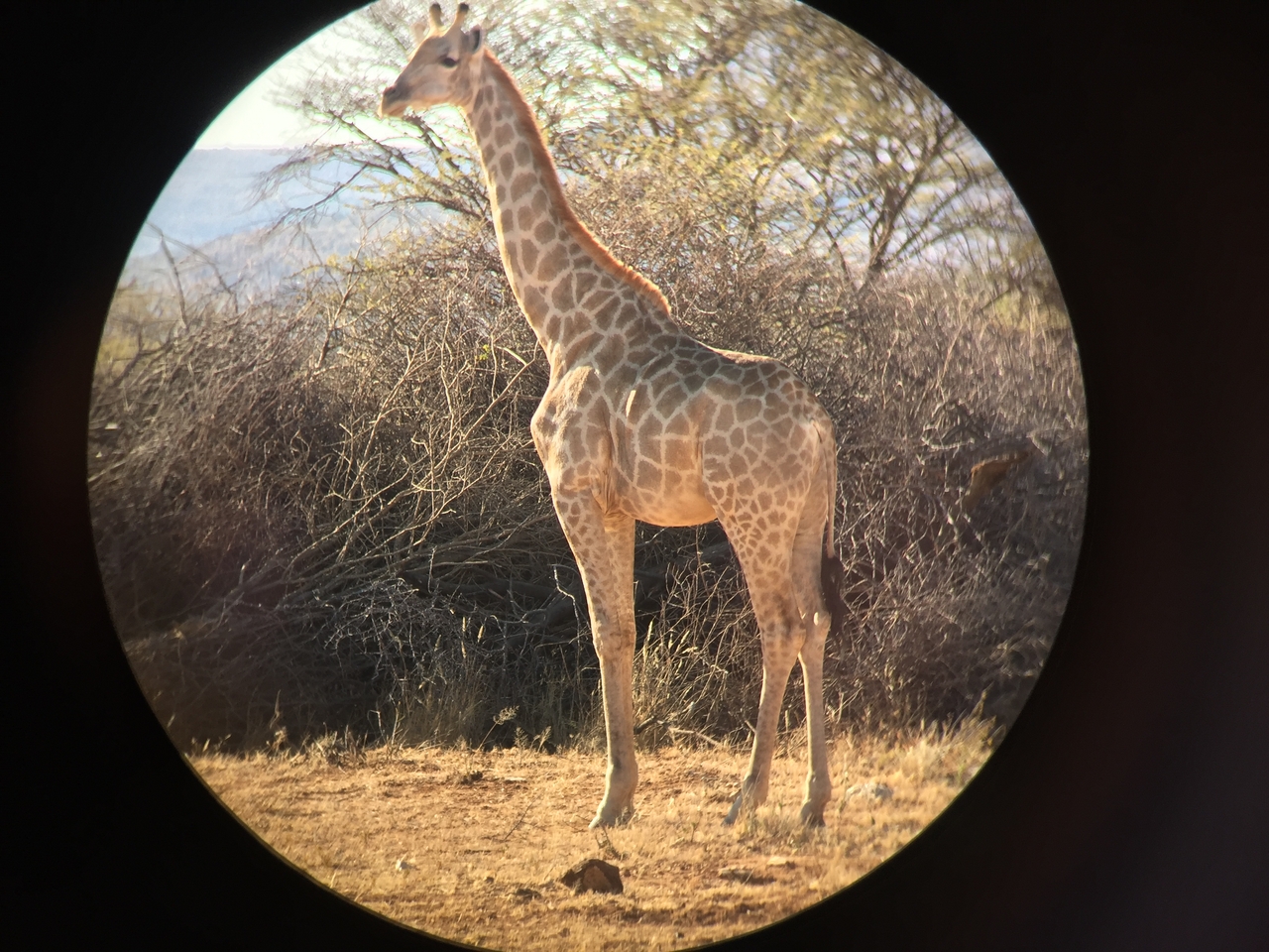 [2475] 2016_06_22_08_37_50_Africa_iPhone_6_IMG_7653_00244.jpg