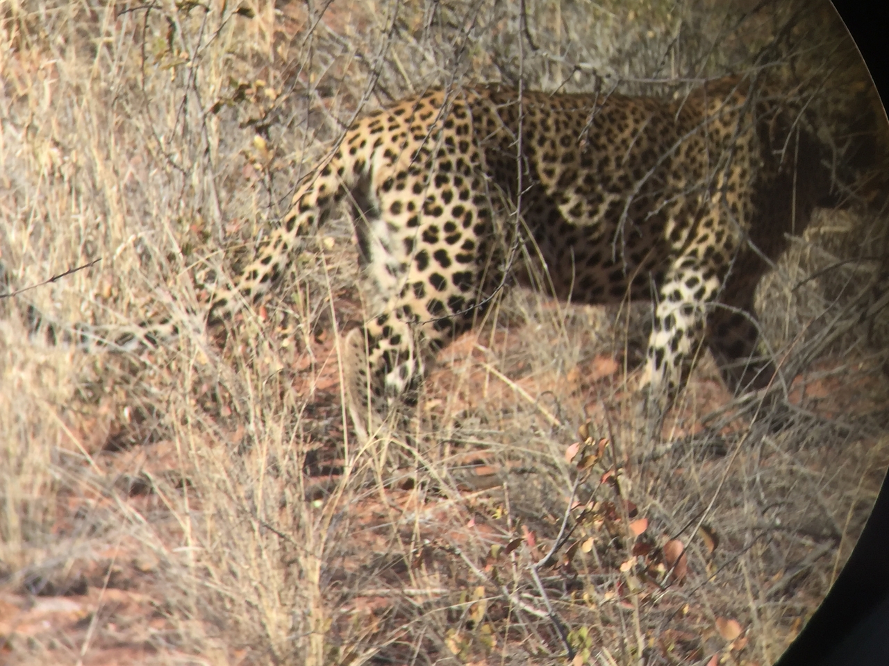 [2490] 2016_06_22_08_56_54_Africa_iPhone_6_IMG_7658_02590.jpg