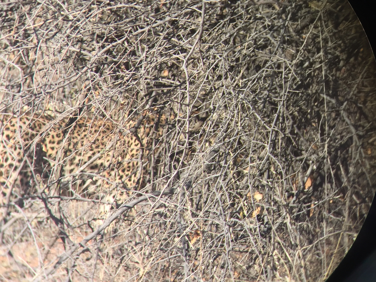 [2494] 2016_06_22_08_56_55_Africa_iPhone_6_IMG_7660_02592.jpg