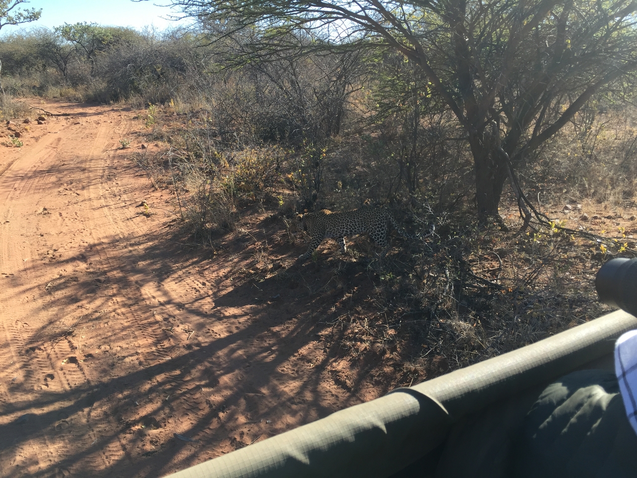 [2517] 2016_06_22_09_07_43_Africa_iPhone_6_IMG_7670_00261.jpg