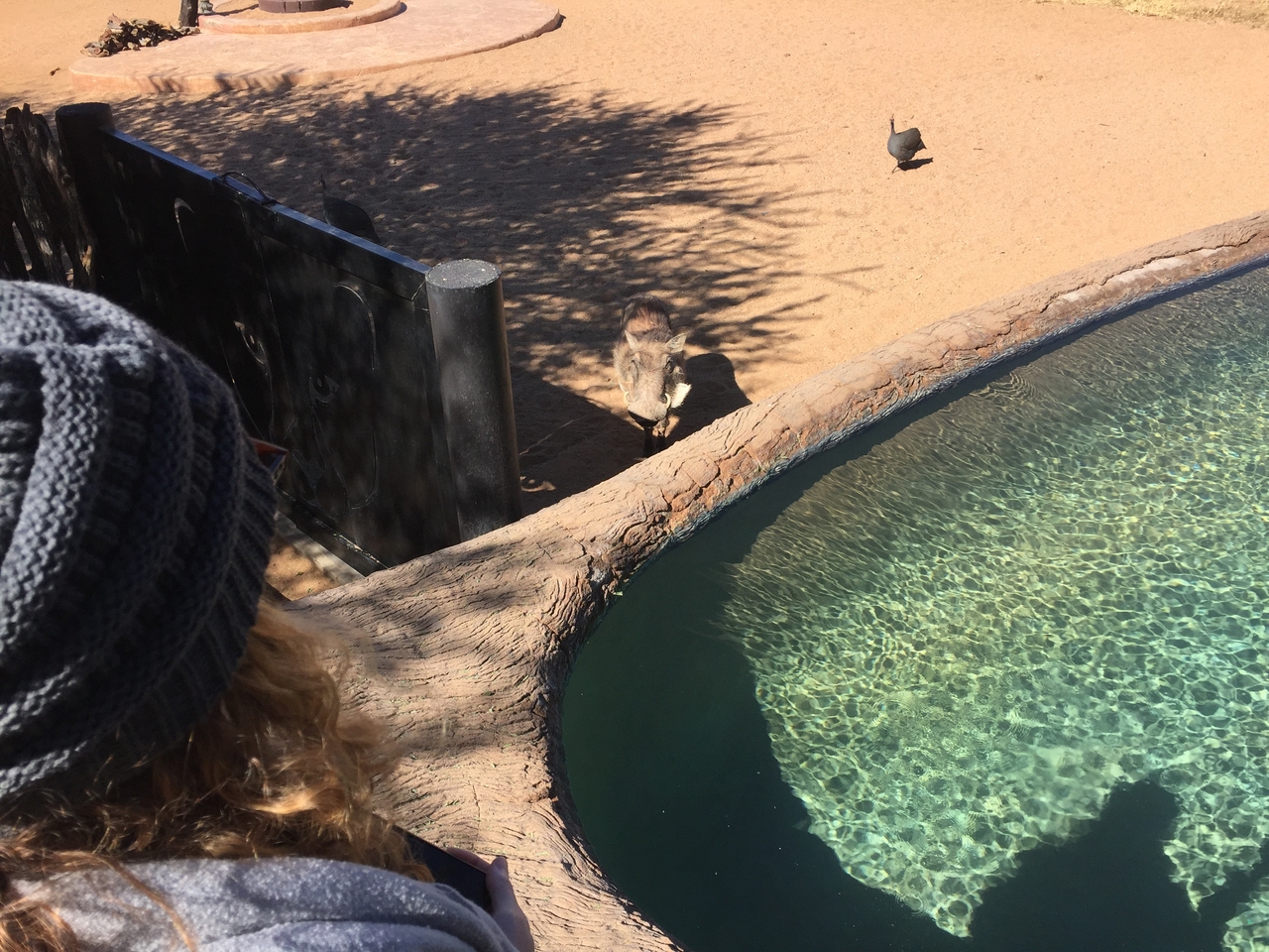 [2558] 2016_06_22_10_54_23_Africa_iPhone_6_IMG_7684_00275.jpg