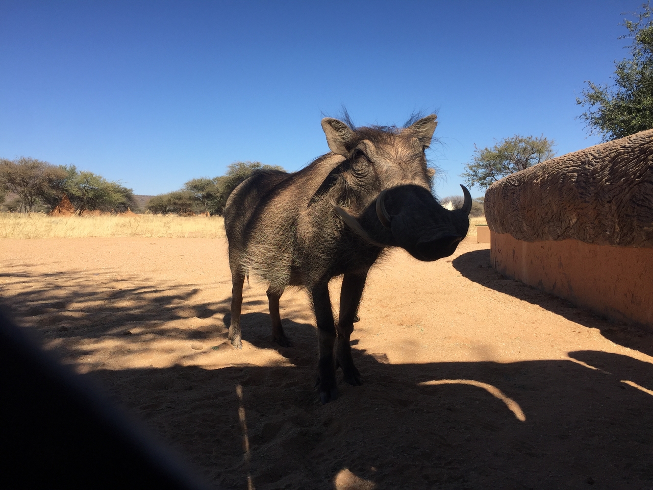 [2566] 2016_06_22_10_57_01_Africa_iPhone_6_IMG_7688_00279.jpg