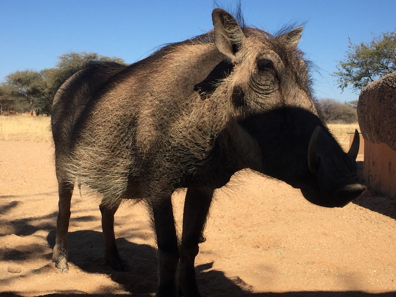 [2569] 2016_06_22_10_57_07_Africa_iPhone_6_IMG_7689_02621.jpg