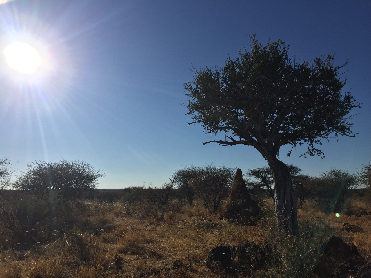 [3562] 2016_06_22_15_31_25_Africa_iPhone_6_IMG_7700_00290.jpg