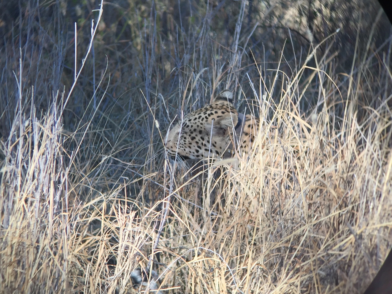 [3583] 2016_06_22_16_07_35_Africa_iPhone_6_IMG_7706_02637.jpg