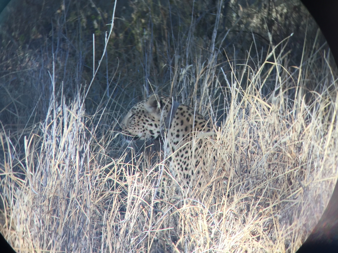 [3588] 2016_06_22_16_08_14_Africa_iPhone_6_IMG_7709_00299.jpg