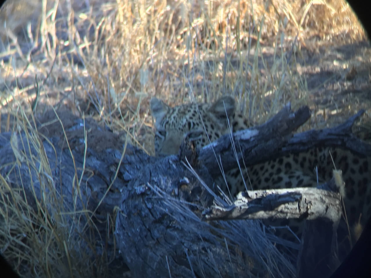 [3594] 2016_06_22_16_18_27_Africa_iPhone_6_IMG_7712_00302.jpg