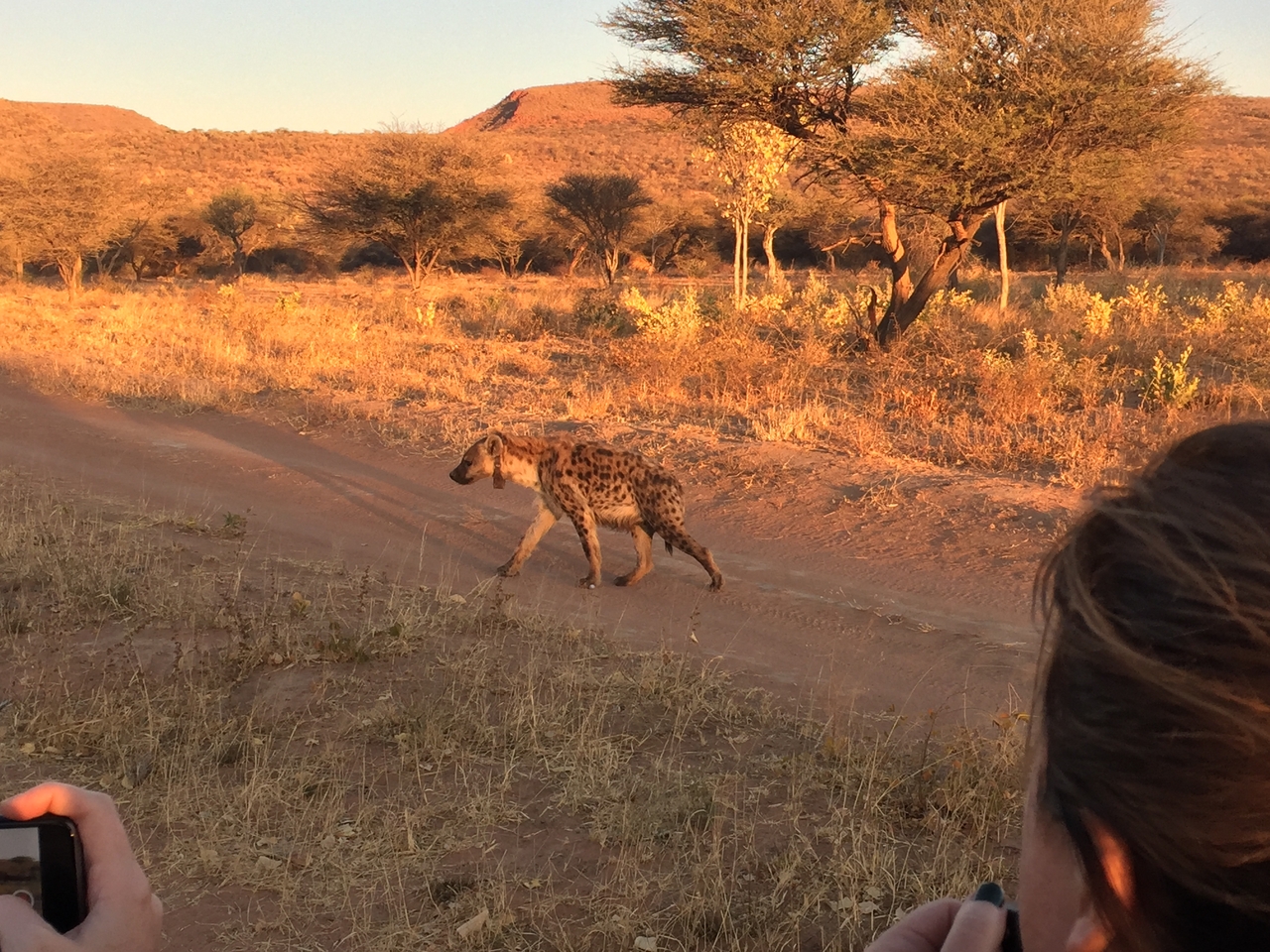 [3661] 2016_06_22_17_06_00_Africa_iPhone_6_IMG_7737_02668.jpg