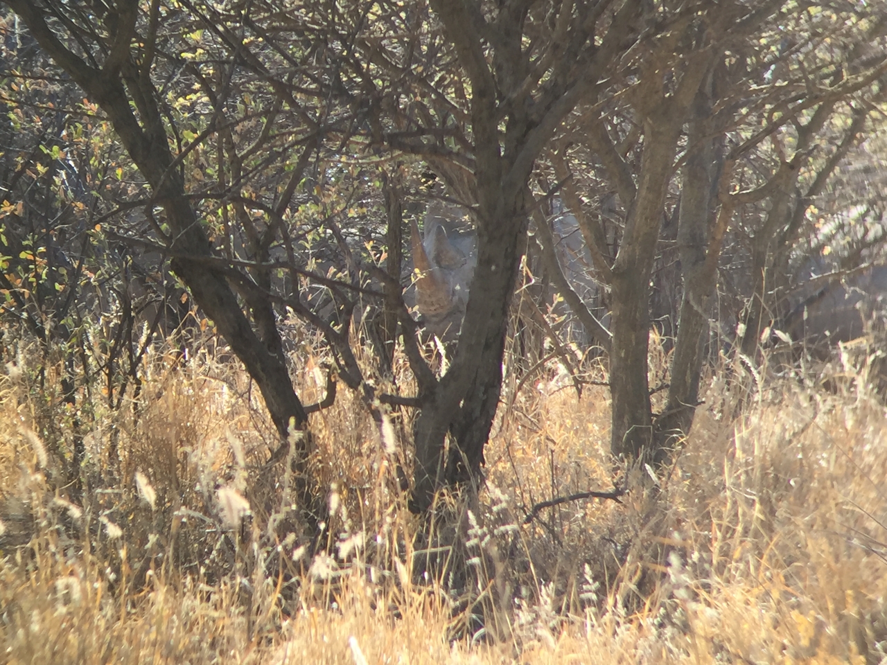 [5283] 2016_06_23_09_17_39_Africa_iPhone_6_IMG_7766_02694.jpg