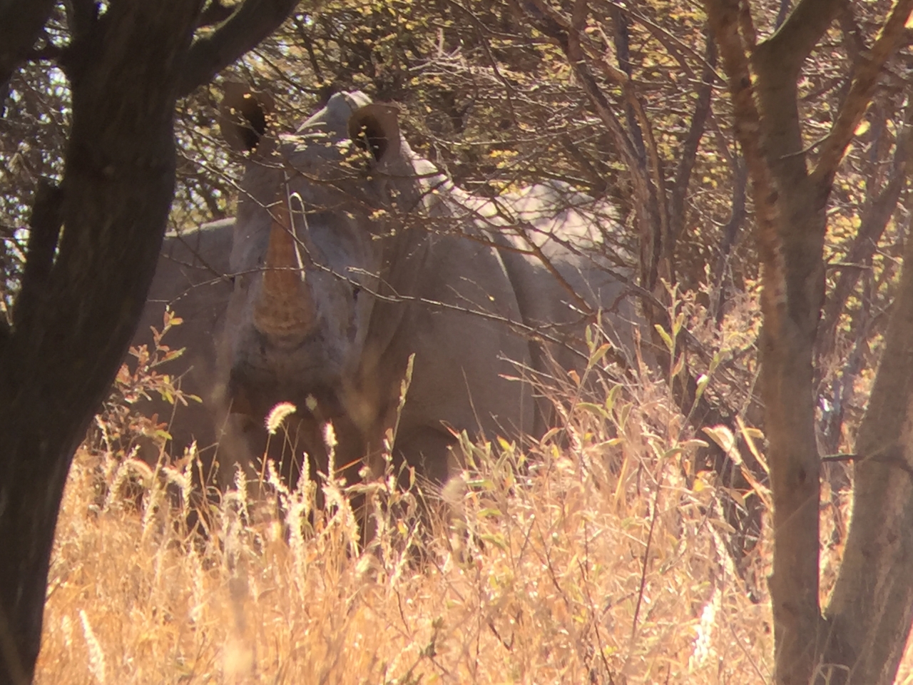 [5297] 2016_06_23_09_19_07_Africa_iPhone_6_IMG_7772_02700.jpg