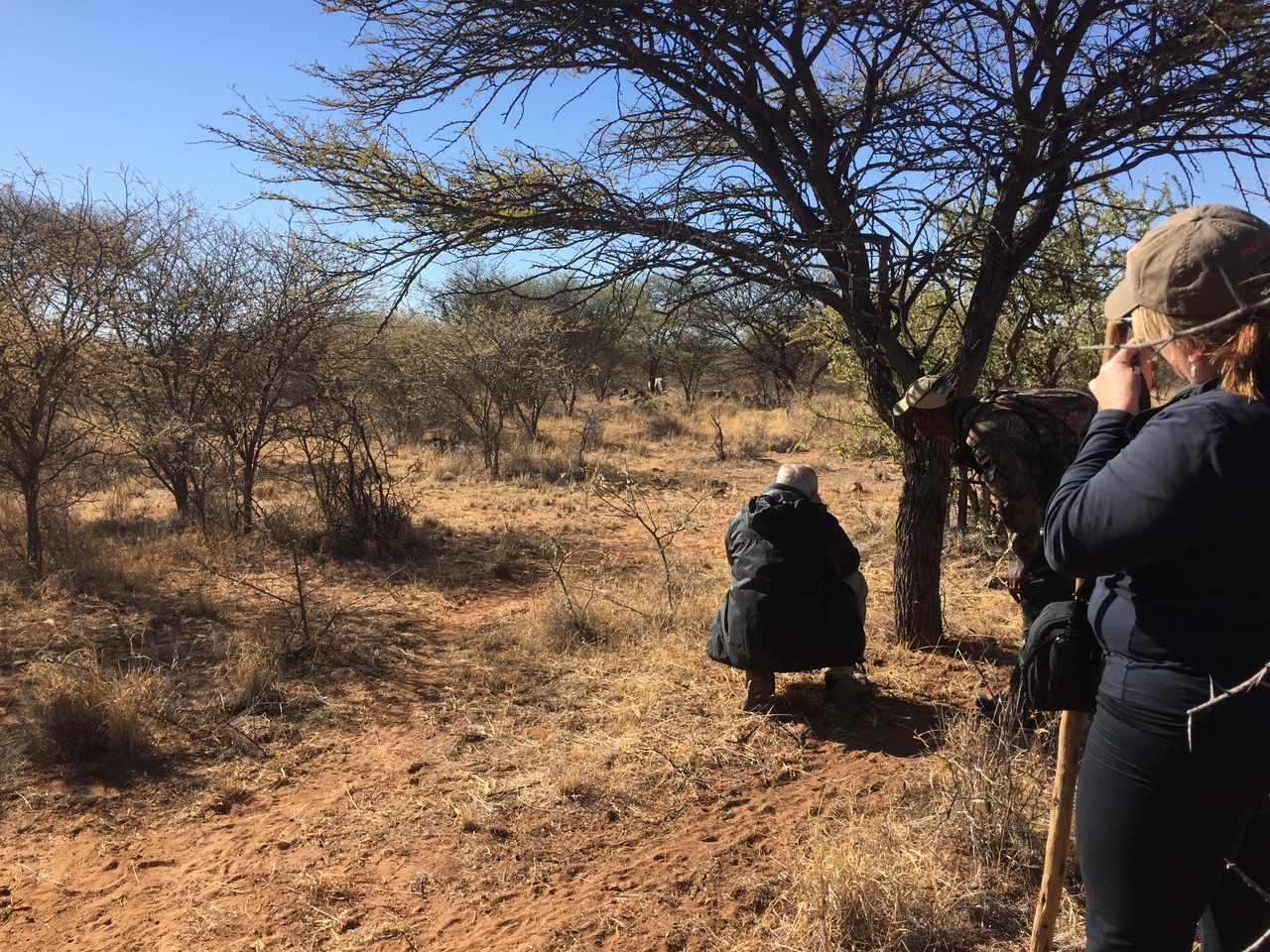 [5317] 2016_06_23_09_24_35_Africa_iPhone_6_IMG_7781_02709.jpg