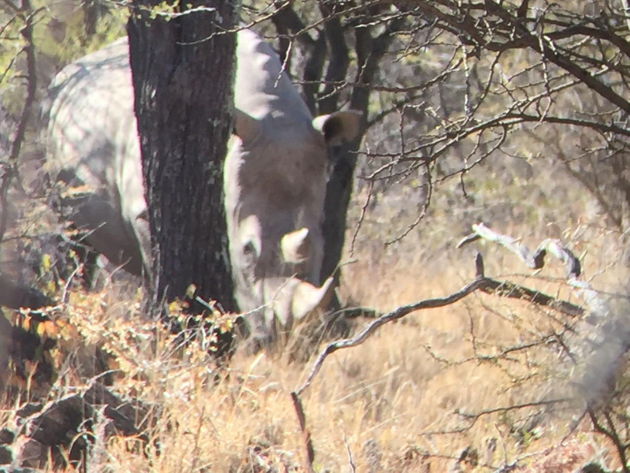 [5337] 2016_06_23_09_25_52_Africa_iPhone_6_IMG_7791_02719.jpg