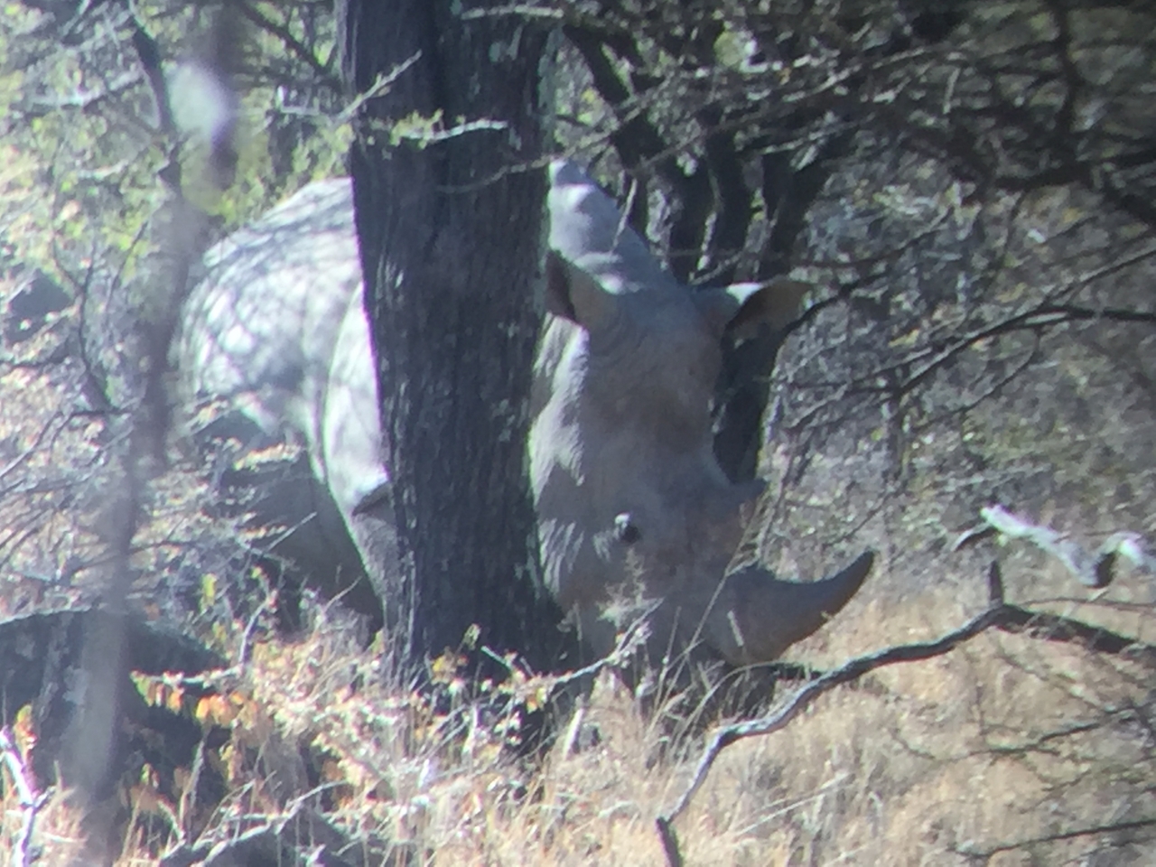 [5339] 2016_06_23_09_26_06_Africa_iPhone_6_IMG_7792_02720.jpg