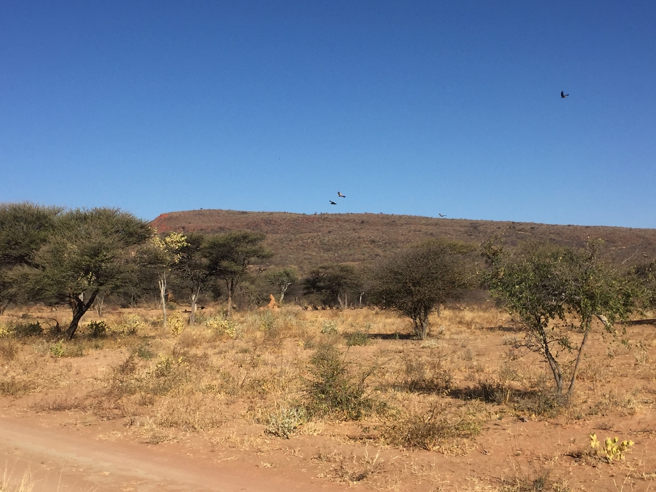 [9033] 2016_06_23_14_57_52_Africa_iPhone_6_IMG_7807_02734.jpg