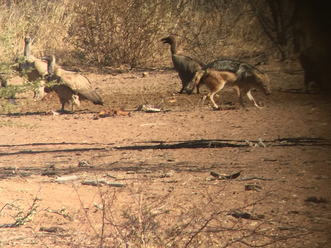 [9052] 2016_06_23_15_03_54_Africa_iPhone_6_IMG_7817_00403.jpg