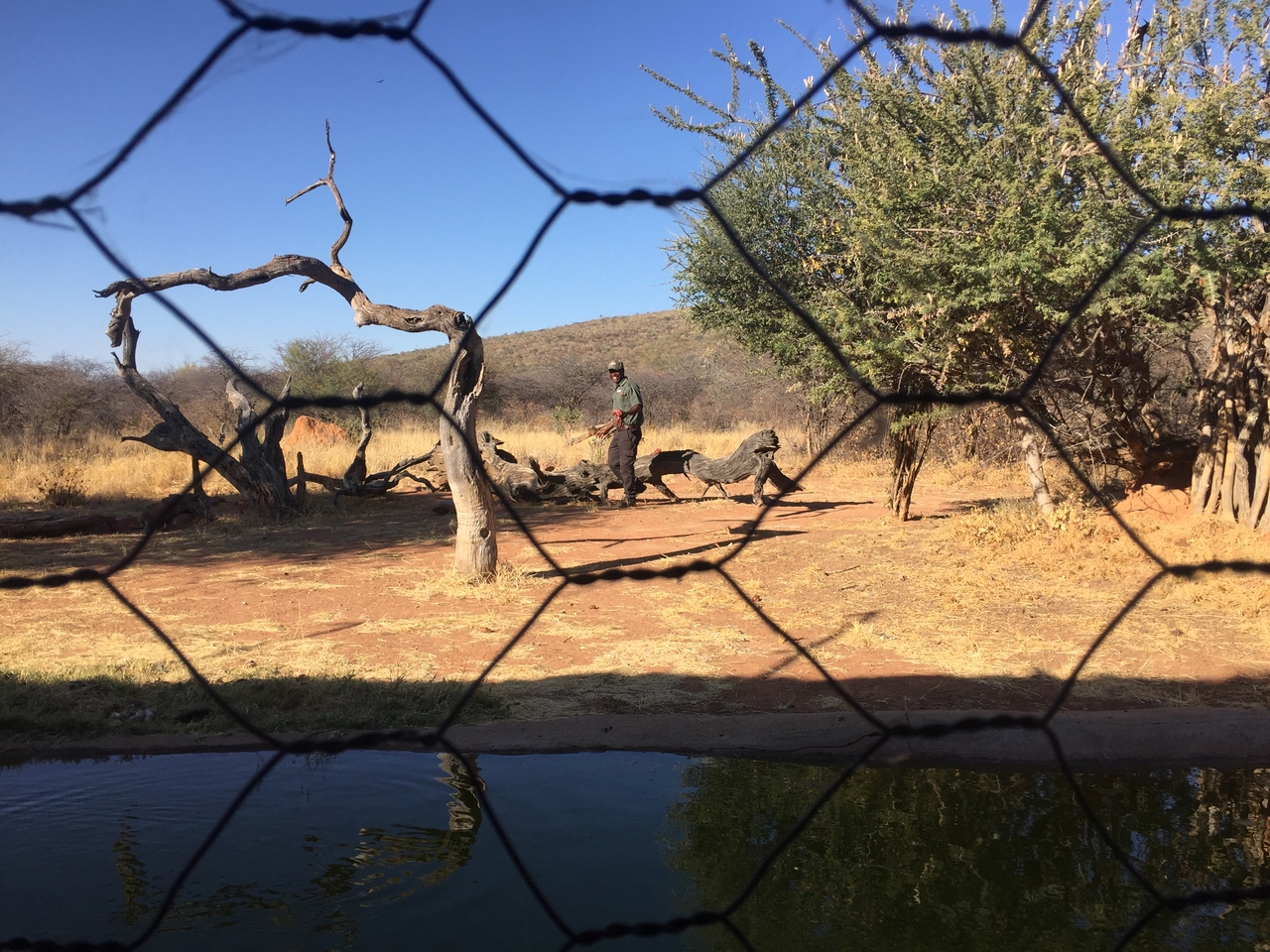 [9062] 2016_06_23_15_14_20_Africa_iPhone_6_IMG_7820_00406.jpg