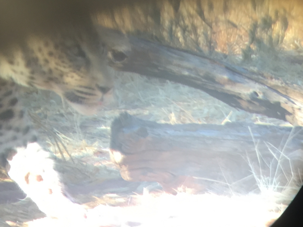 [9109] 2016_06_23_15_25_16_Africa_iPhone_6_IMG_7843_02770.jpg