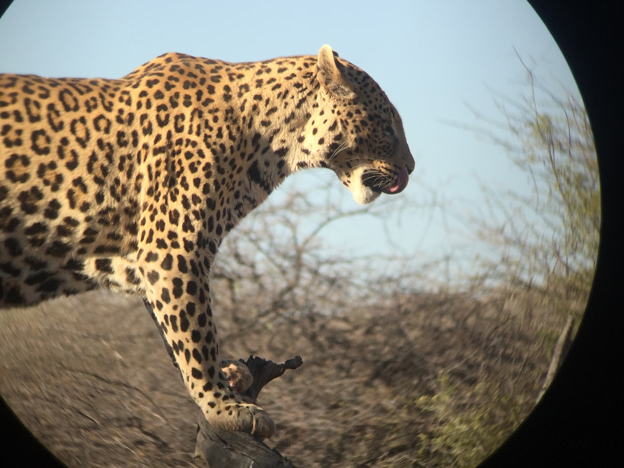 [9127] 2016_06_23_15_26_01_Africa_iPhone_6_IMG_7853_02779.jpg