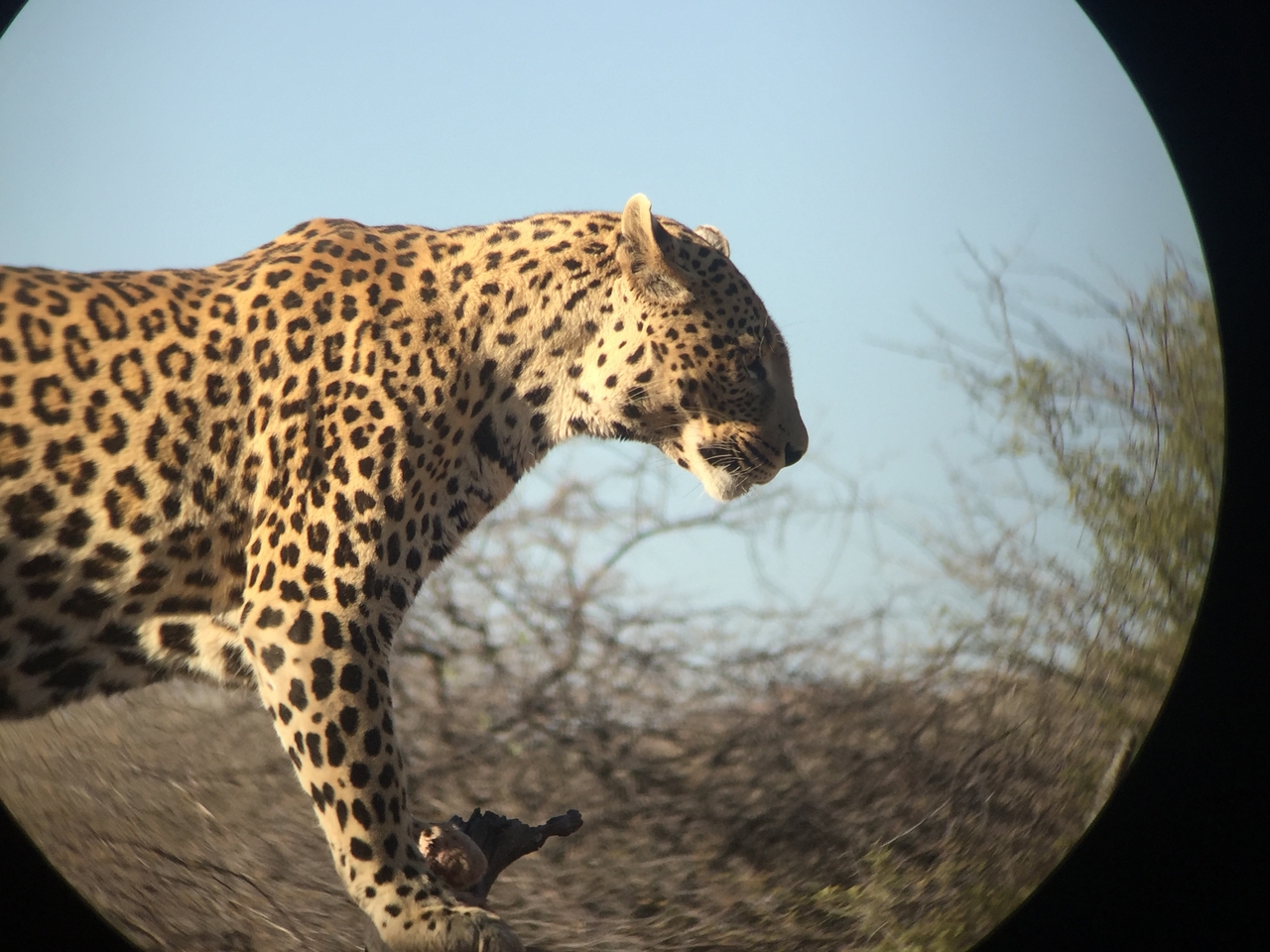 [9128] 2016_06_23_15_26_02_Africa_iPhone_6_IMG_7854_00439.jpg