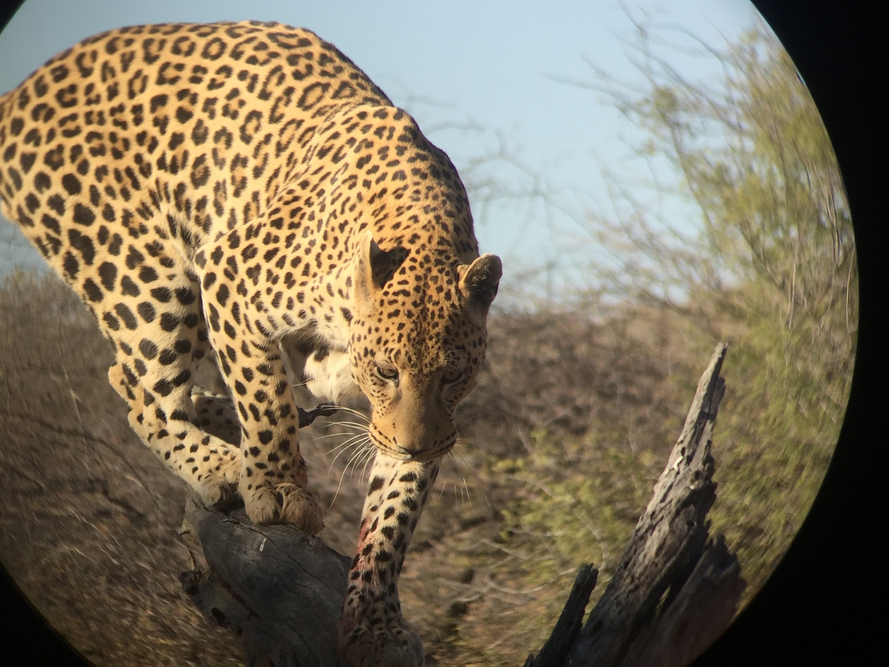 [9132] 2016_06_23_15_26_04_Africa_iPhone_6_IMG_7856_00441.jpg