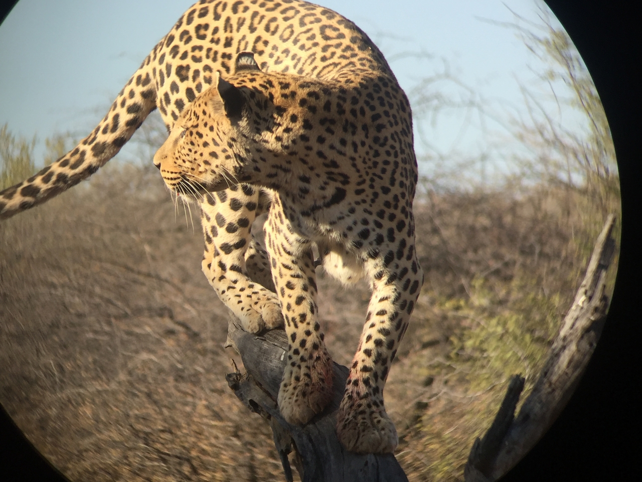 [9134] 2016_06_23_15_26_05_Africa_iPhone_6_IMG_7857_00442.jpg