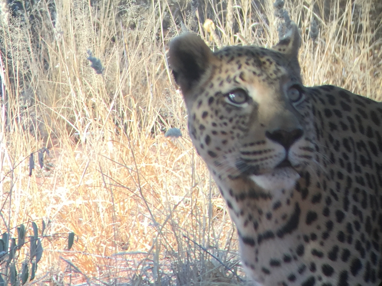 [9148] 2016_06_23_15_26_25_Africa_iPhone_6_IMG_7864_00449.jpg