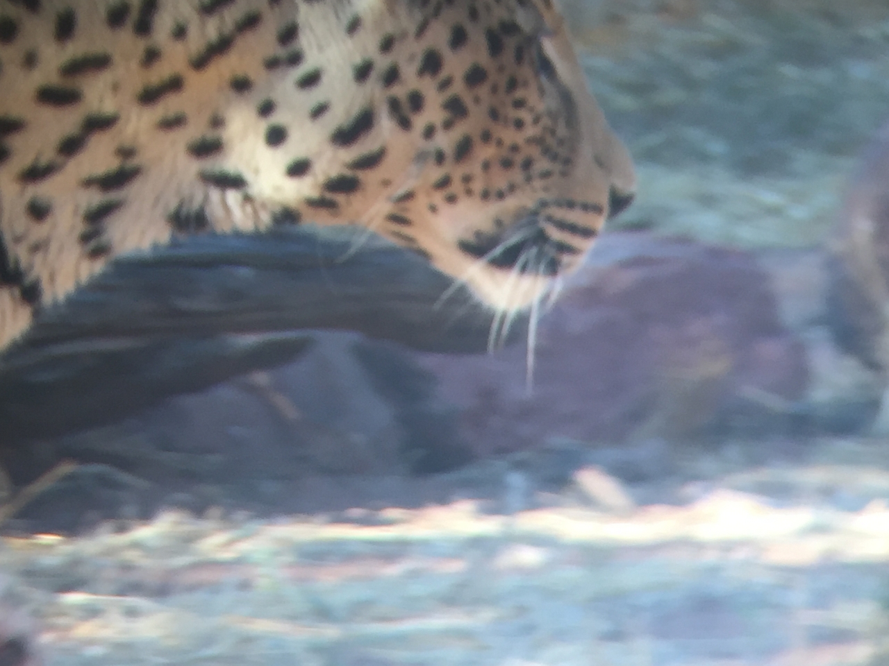 [9153] 2016_06_23_15_26_34_Africa_iPhone_6_IMG_7866_02792.jpg