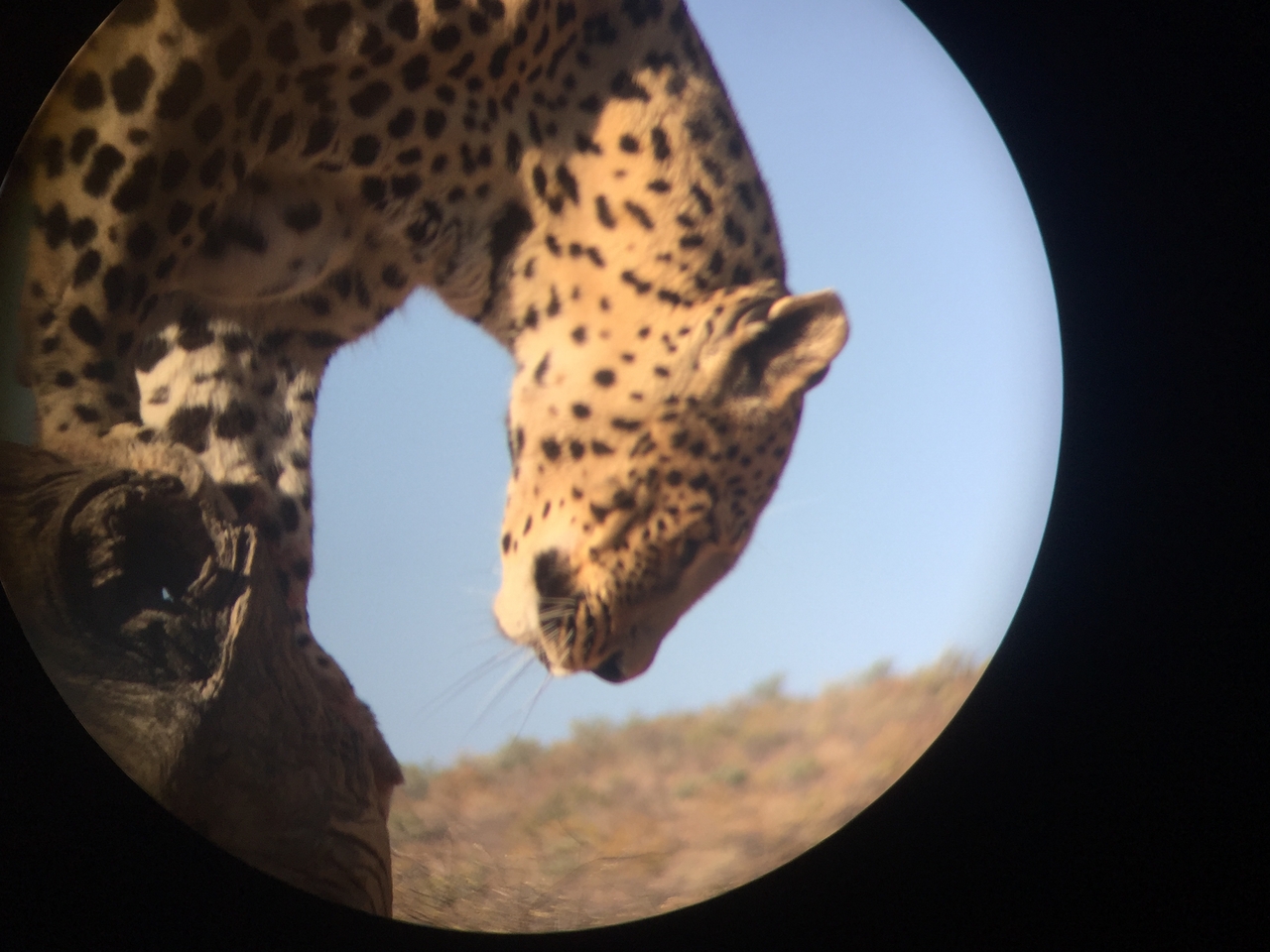 [9166] 2016_06_23_15_26_55_Africa_iPhone_6_IMG_7873_00458.jpg